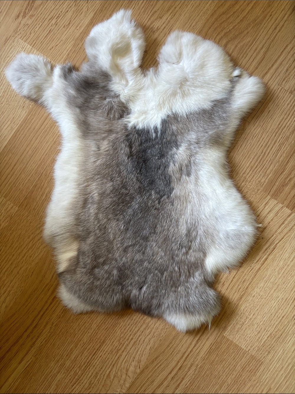 B0104 rabbit Fur Pelt - Cream and Gray